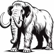 Image 24-07-2024 at 19.59